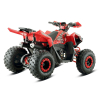 Quad Barton Terrax 125 – półautomat z biegiem wstecznym