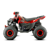 Quad Barton Terrax 125 – półautomat z biegiem wstecznym