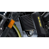Zontes 125 C Cruiser Euro5+ - 2026