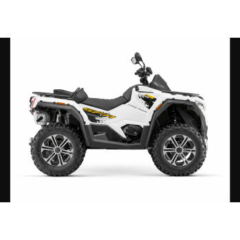 QJMOTOR SFA 1000