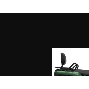 QJMOTOR SFA 300