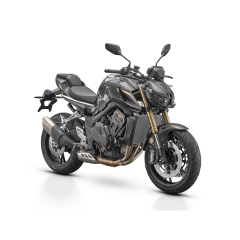 QJMOTOR SRK 800