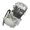 Silnik Moretti pionowy  250cc 4T, 5-biegowy manual-16857