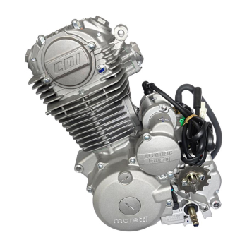 Silnik Moretti pionowy  250cc 4T, 5-biegowy manual-16859
