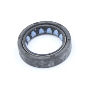 USZCZELNIACZ 31X43X10,3 70203004