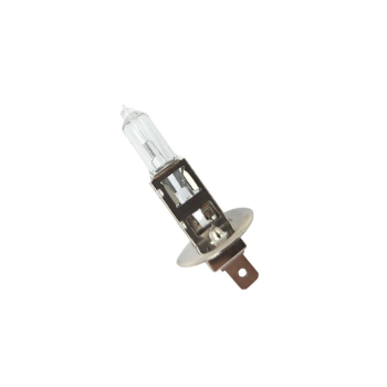 ŻARÓWKA 12V 55W H1-205219