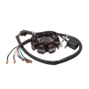 Iskrownik do ATV 200/250-22313