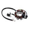 Iskrownik ATV Bashan 200/250-22316
