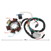 Iskrownik Honda Dio 50-22346