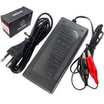 Ładowarka 12V 3.3A