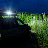 Lampa robocza halogen LED szperacz AWL11 AMIO-0242-48217