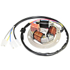 Stojan Alternatora Power Force Simson 12v S51  Alt