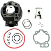 Cylinder Żeliwny Power Force Basic Aprilia Tuono M-69986