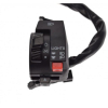 PRZEŁĄCZNIK ZESPOLONY LEWY DO ATV BASHAN BS250S-5-81599