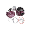 CYLINDER ŻELIWNY Z GŁOWICĄ POWER FORCE APRILIA RS