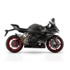 QJMOTOR SRK 921RR