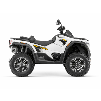 QJMOTOR SFA 1000