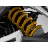 QJMOTOR SRK 800