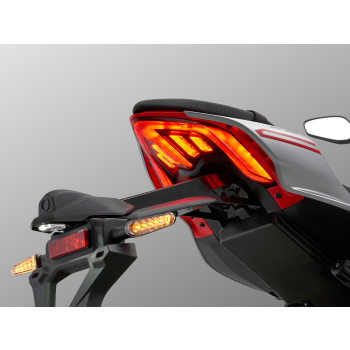 QJMOTOR SRK 800